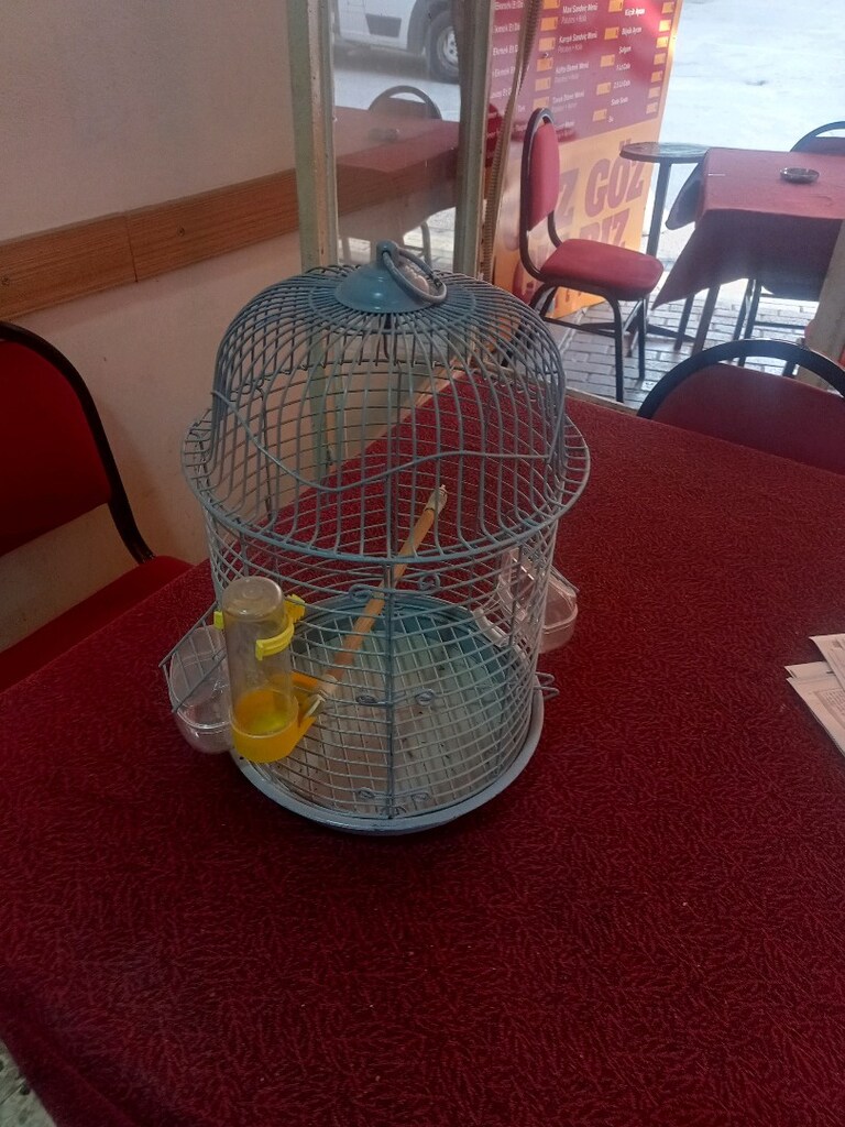 tertemiz kuş kafesi çok az kullanılmış - 2