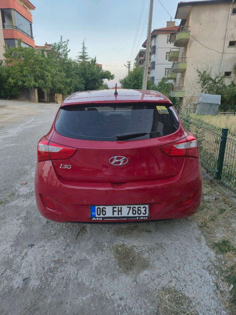 SAHİBİNDEN KIRMIZI GÜL İ30 - 8