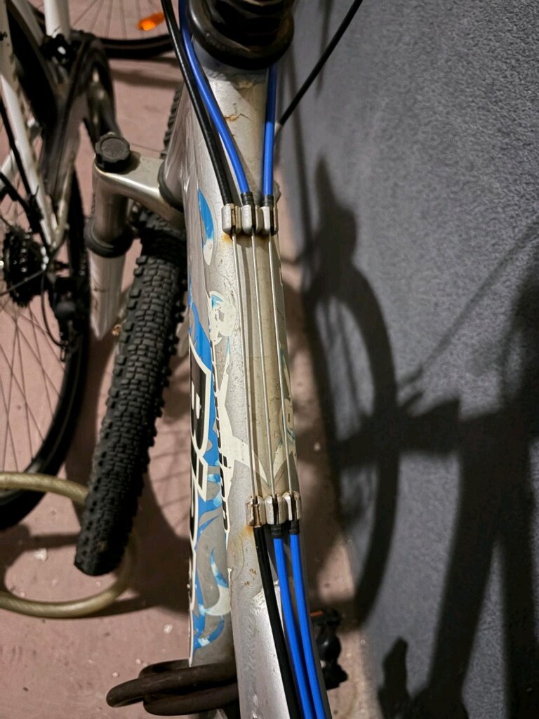 Bianchi Scorpion 24 Jant Bisiklet - 6