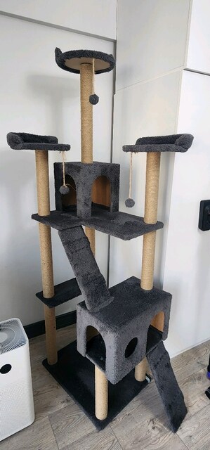 Kedi Oyun Evi