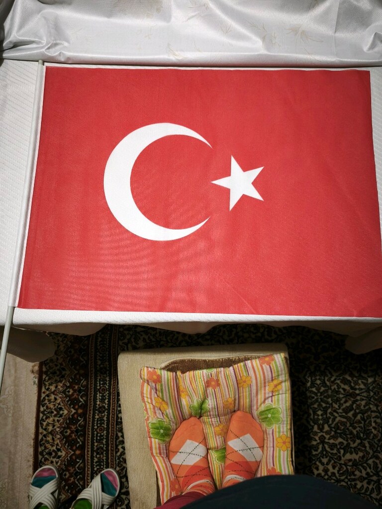 Kumaş Türk Bayrağı saplı 40,5*29 cm - 5