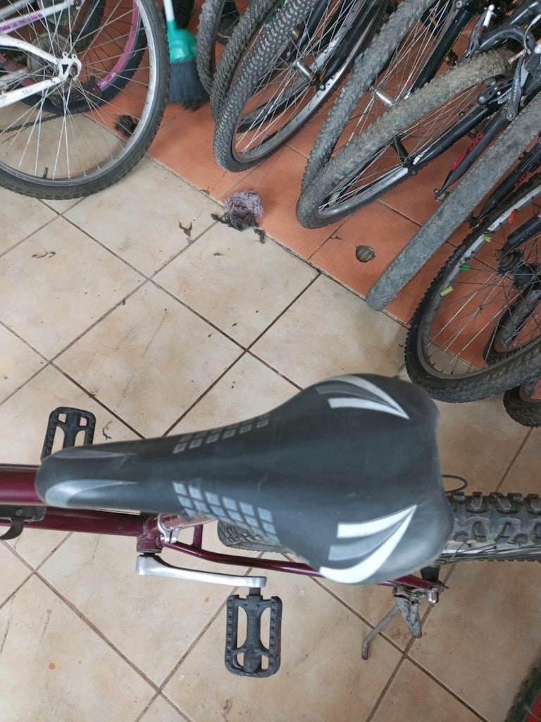 Bisan 26 jant 21 vites Shimano sistem - 10