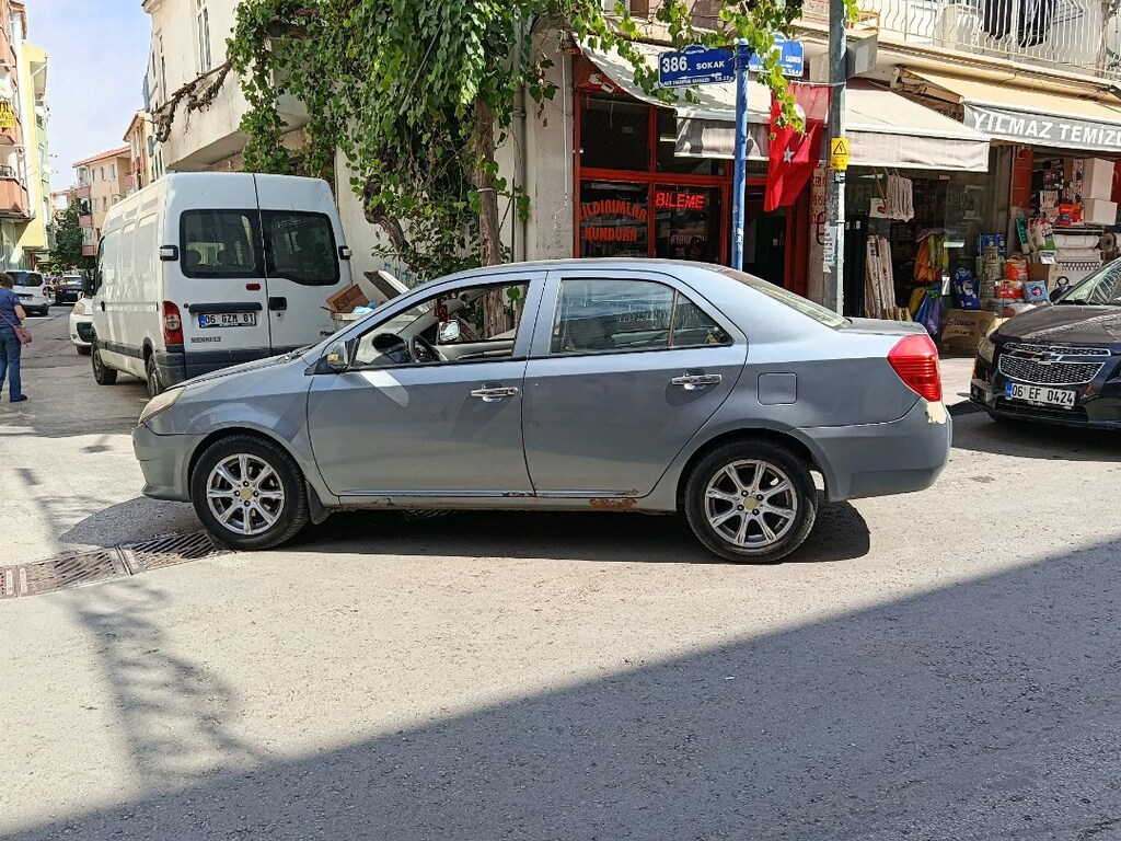 ŞAHİN PARASINA 2009 GEELY - 3
