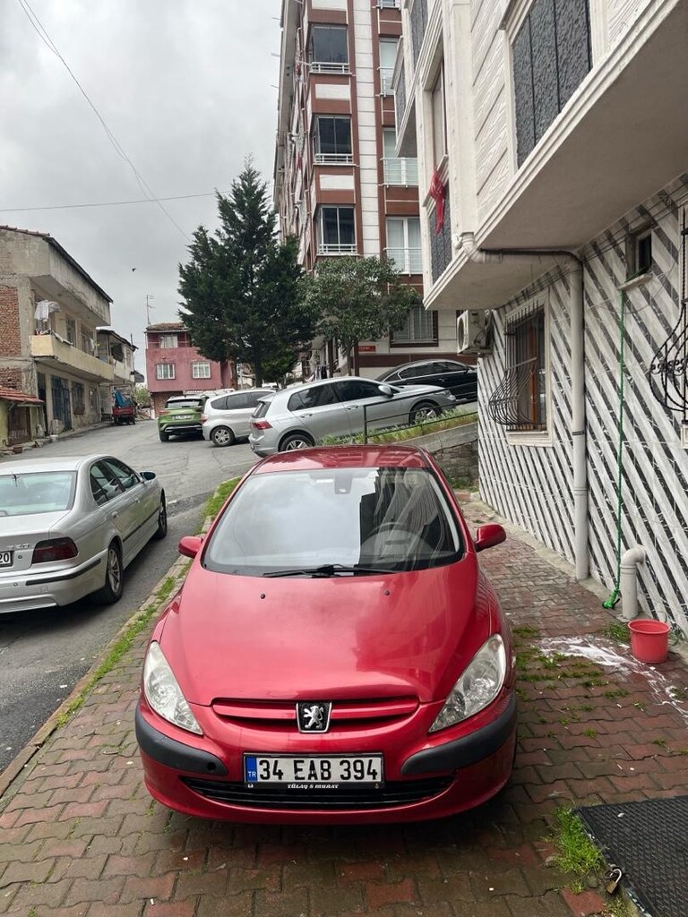 Aile arabası peugeot 307 - 4