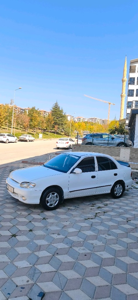 Temiz Yumurta Kasa - 2