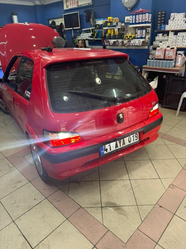fındık faresi - 7