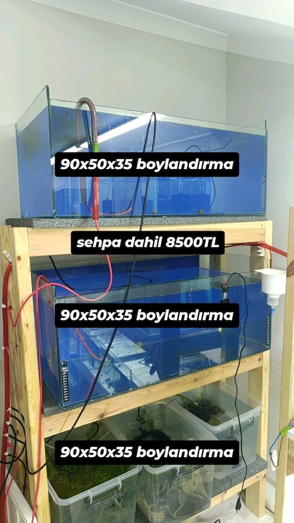 Komple Akvaryum Set Takas Olur - 2