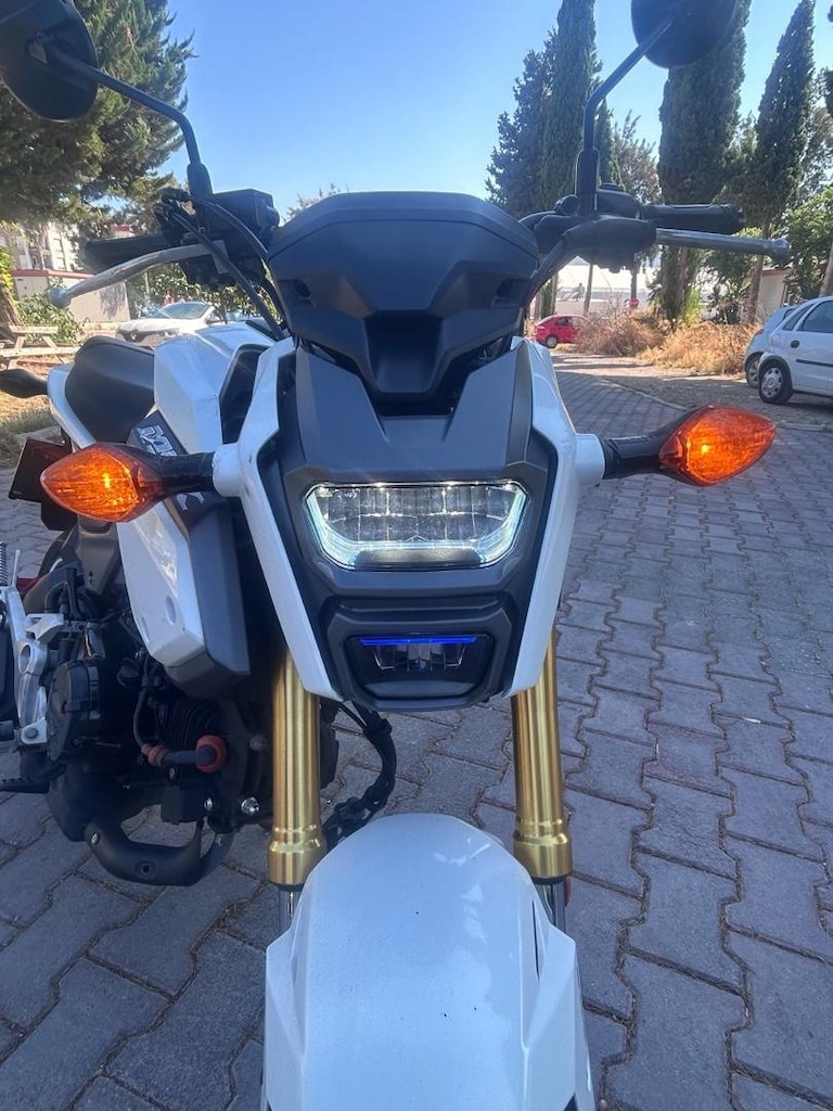 Honda Msx125 - 3