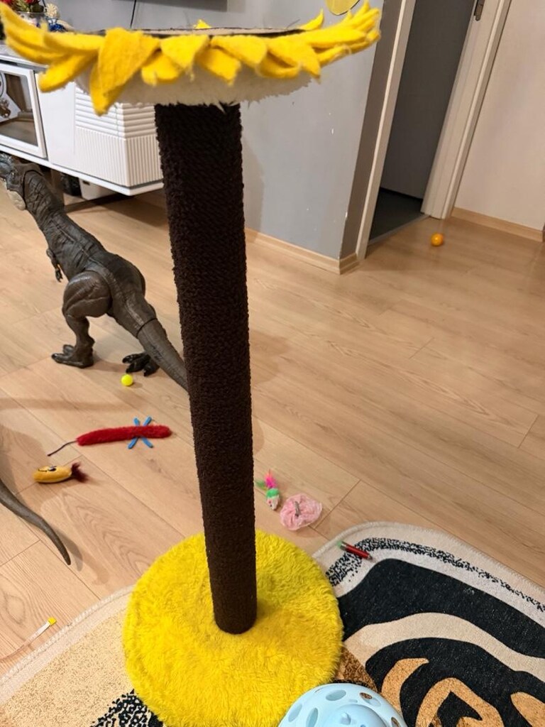 kedi ürünleri - 2