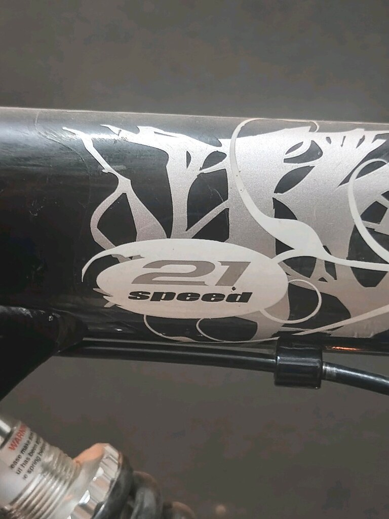 Bianchi Star - 24 jant - 21 vites - Dağ Bisikleti - 11