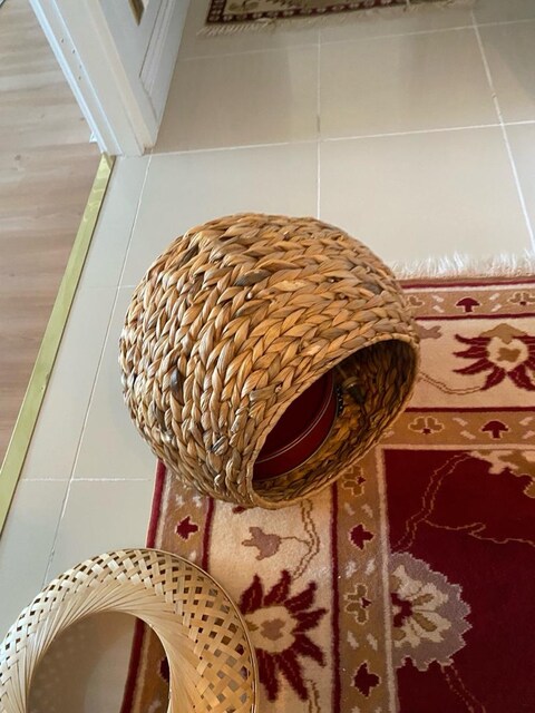 kedi evi