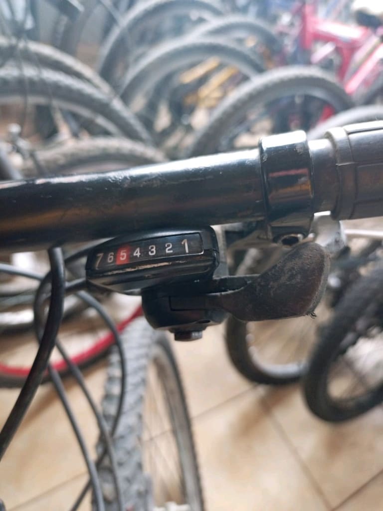 Bisan 26 jant 21 vites Shimano sistem - 2