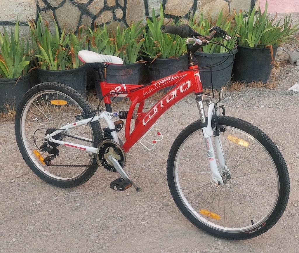 24 JANT 21 VITES CARRARO ÇOCUK BISIKLETI - 2