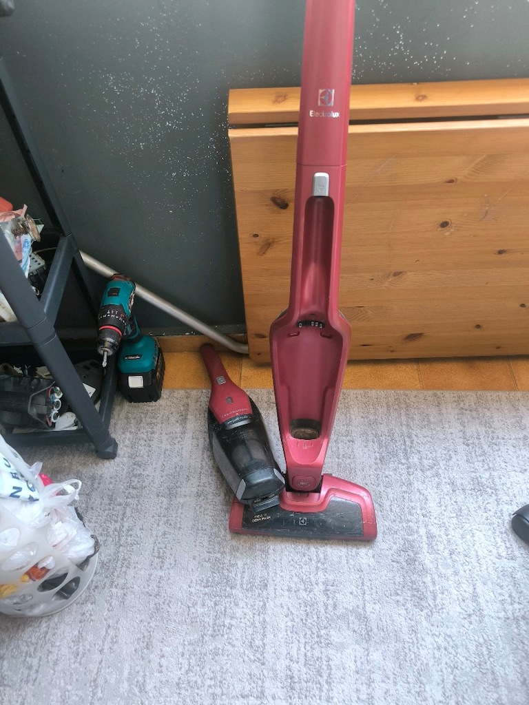 Electrolux ERR7ANIMAL - 2