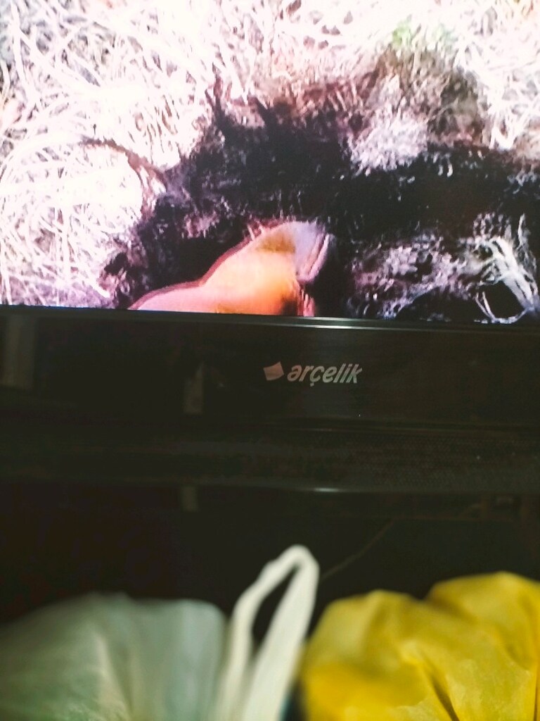 Arçelik 32 inch LCD TV.hdmi RCA VGA scart girişi.Uydu cihazı verilecek - 3