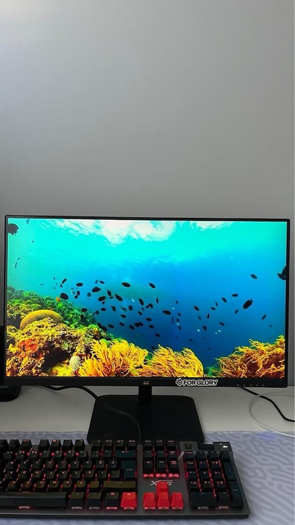 Viewsonic 24 inç 75hz Mönitör - 2