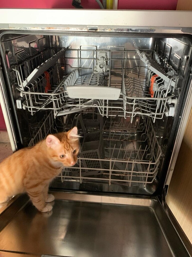 Hotpoint Ariston Bulaşık Makinası - 2