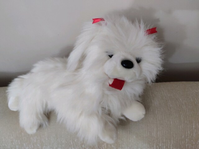 pamuk