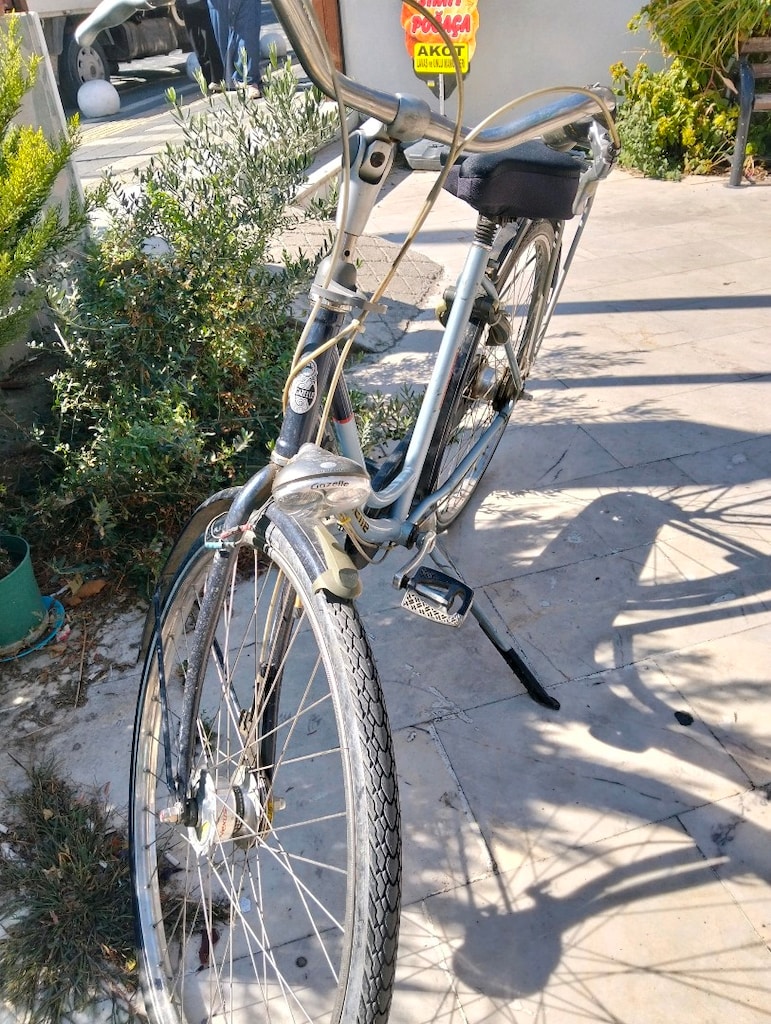 ORJİNAL GAZELLE İNPALA - 7