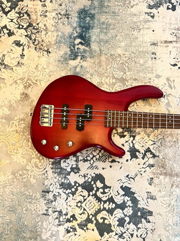 Bas gitar/Gitar - 2