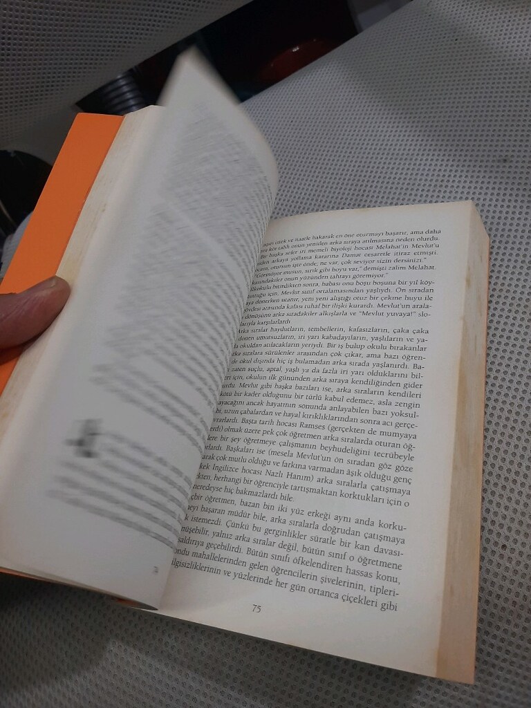 Orhan Pamuk (kafamda bir tuhaflık kitabı) - 6