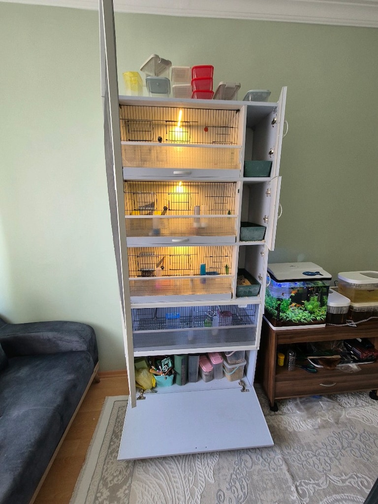 çok katlı kuş dolabı full Bütün malzemeleri ile beraber verilecektir.