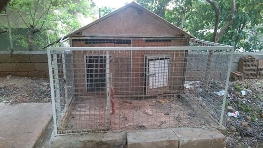Hayvan barınağı köpek kulübesi vs.