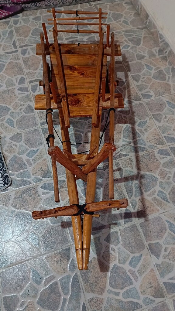 KAĞNI ÖKÜZ ARABASI - 3