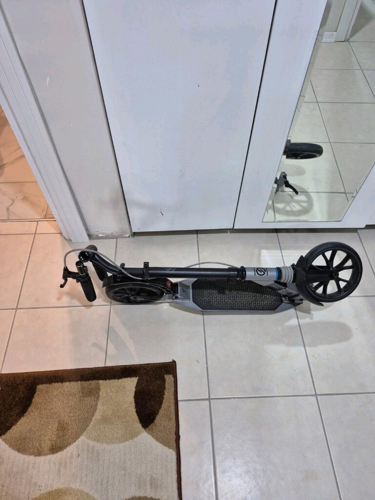 Scoter - 3