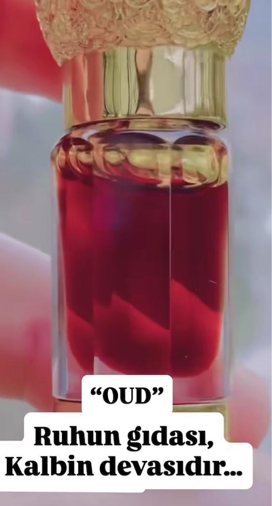 Orjinal Oud Gul Misk İran Safranı - 5