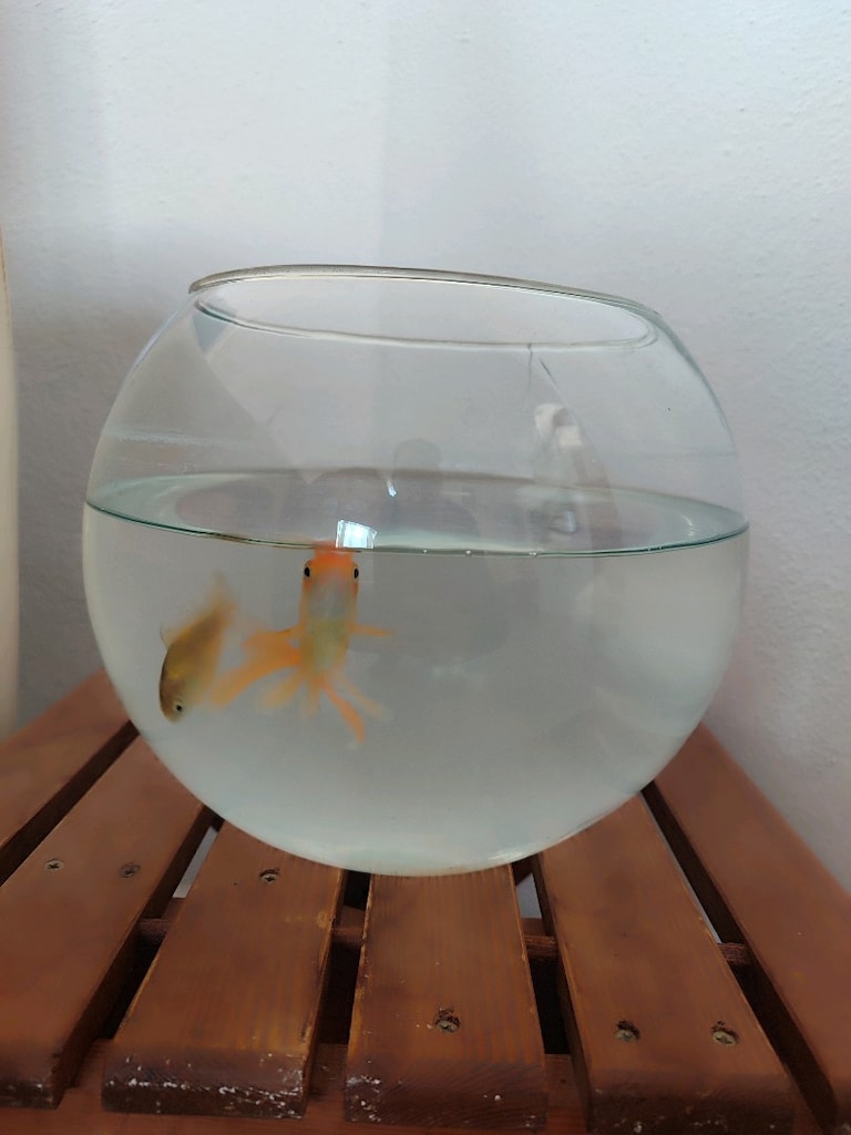 fanus ve içindekiler taslarıda var - 2