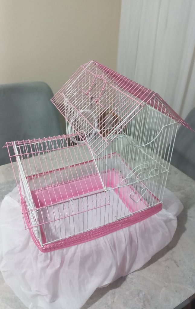 Pembe Beyaz Kuş Kafesi - 2