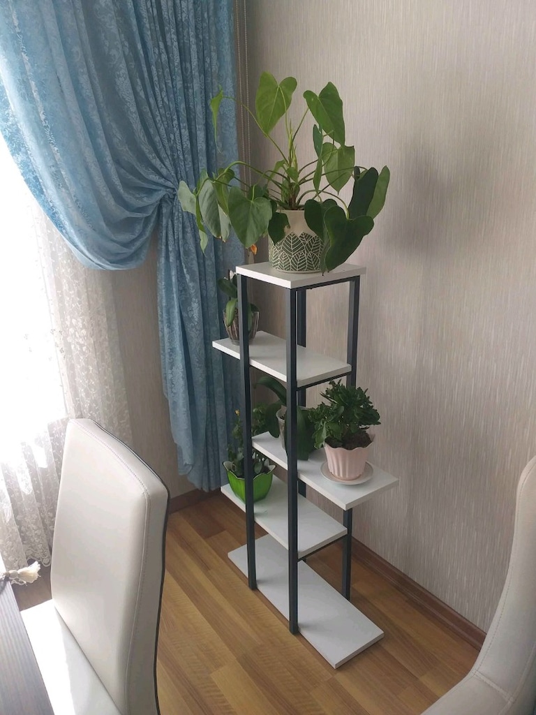 Çok Amaçlı Bitki Yerleştirme Rafı - 18