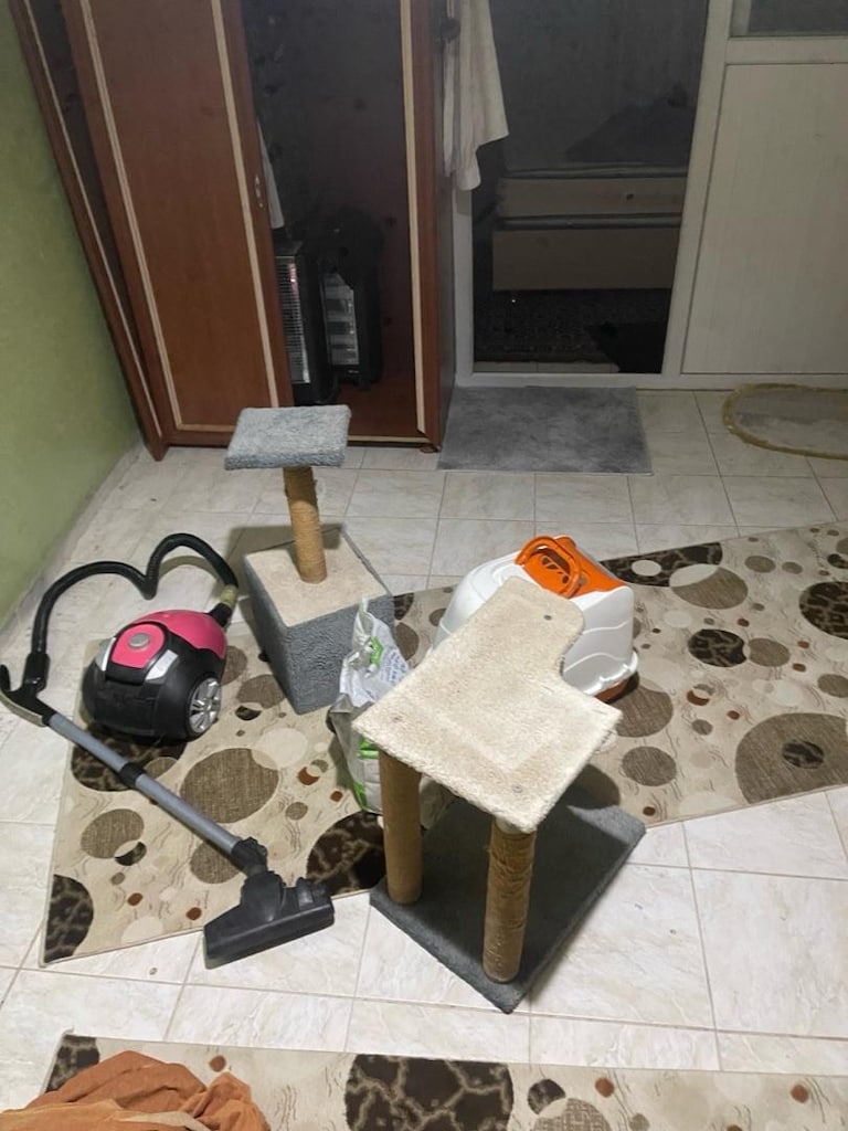 kedi eşyaları - 2