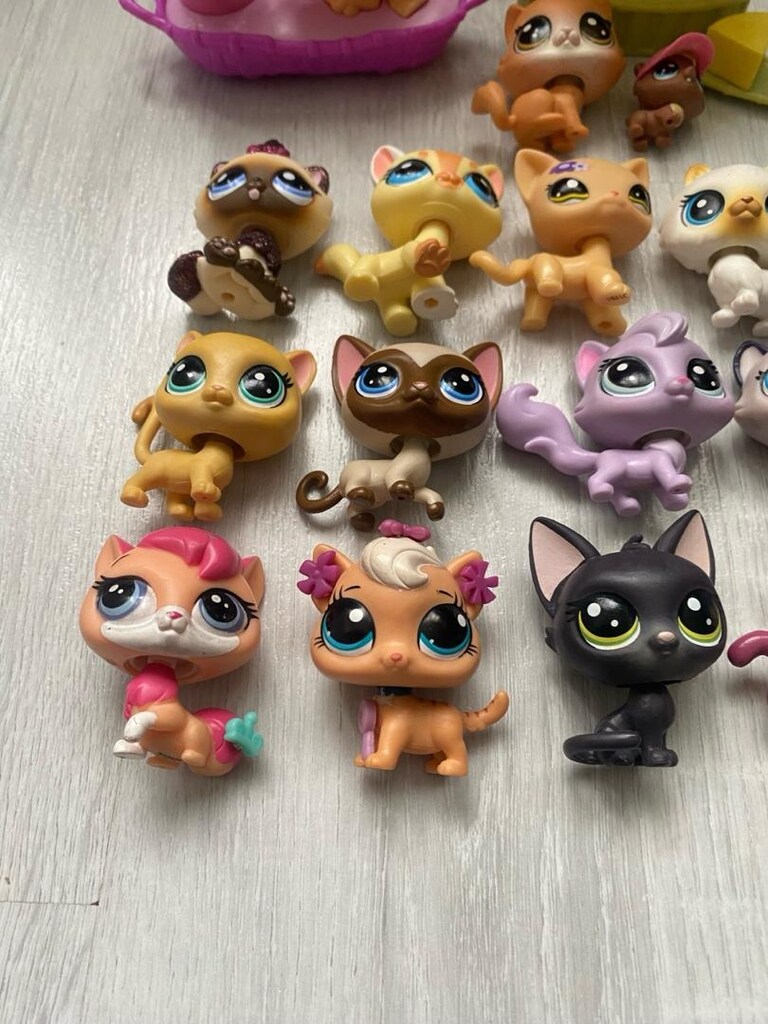 kedi minişler - 3