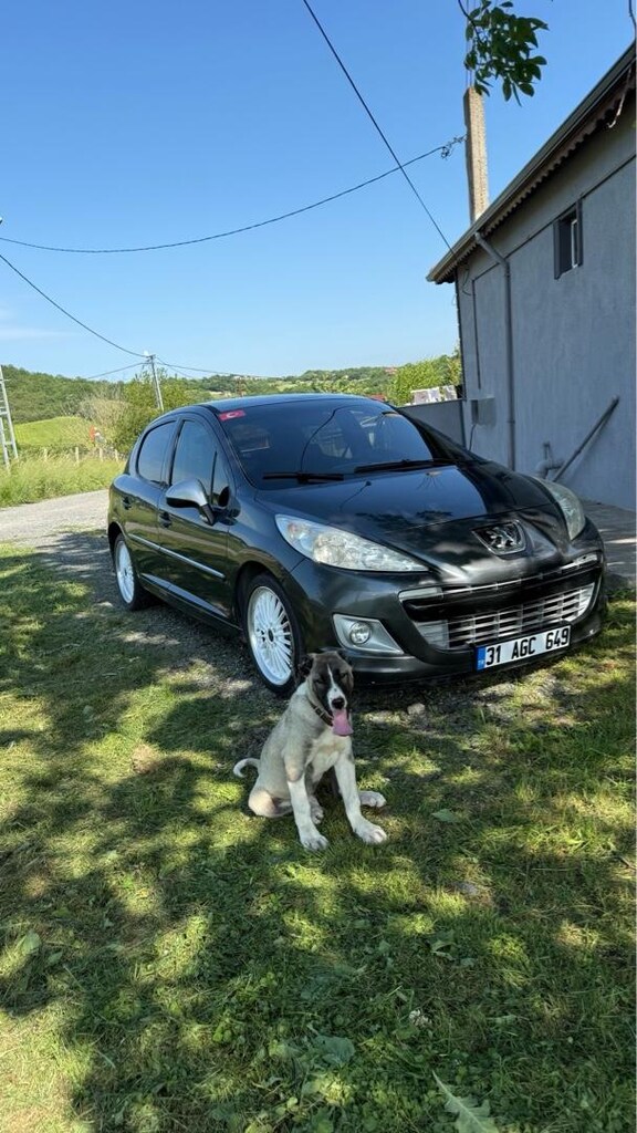 SATILIK 207 SUNROOF HARİÇ EN DOLUSU - 2