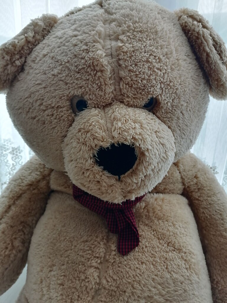 Peluş ayı - 3