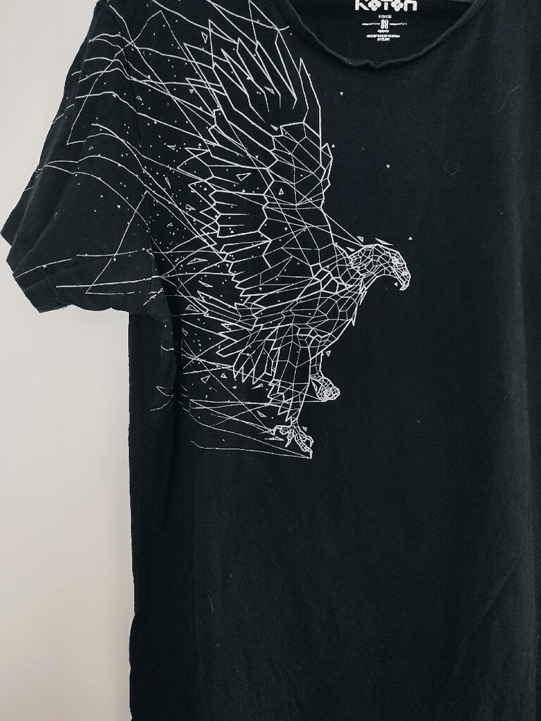 Kartal baskılı siyah t-shirt - 2