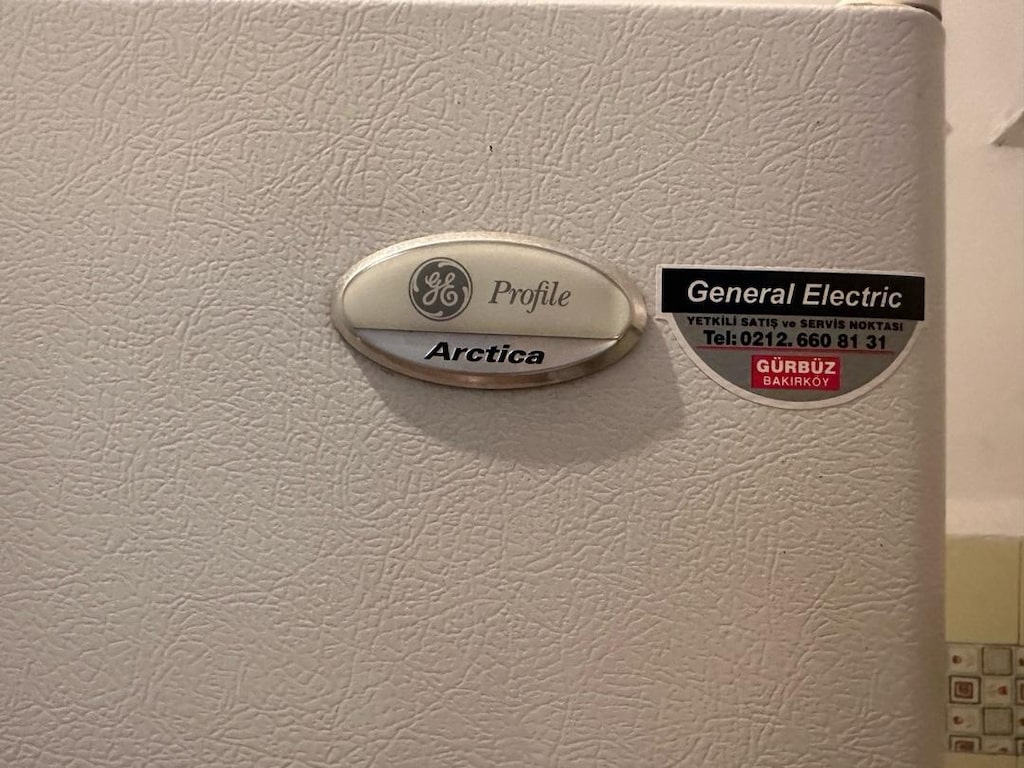 Sahibinden orjinal Amerikan General Elektric marka buzdolabı - 5
