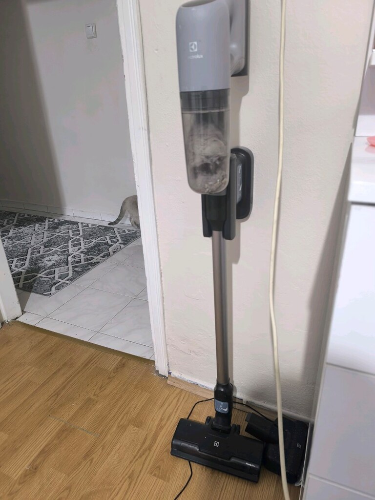 Elektrolux Animal 700 dikey Süpürge - 2