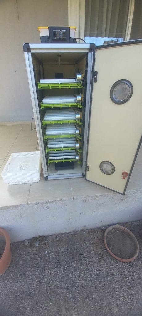 kuluçka 180lik cimuka makinası - 2