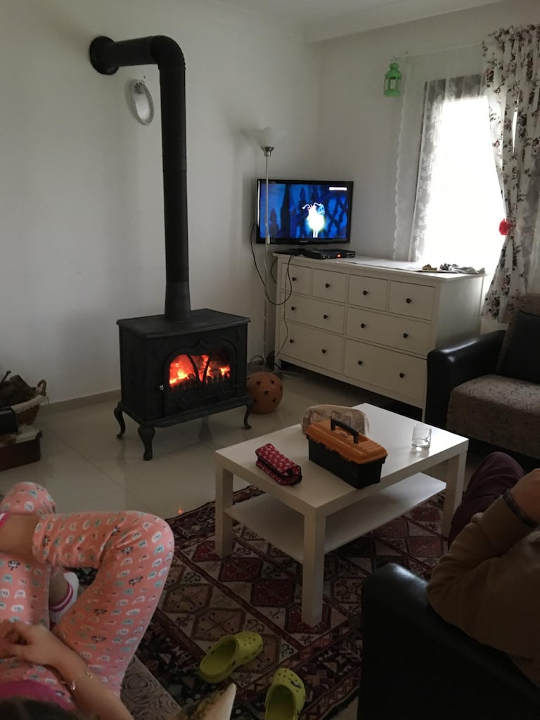 Döküm Şömine Tipi Odun Sobası – Baca Boruları Dahil – Çalışır Durumda” - 2