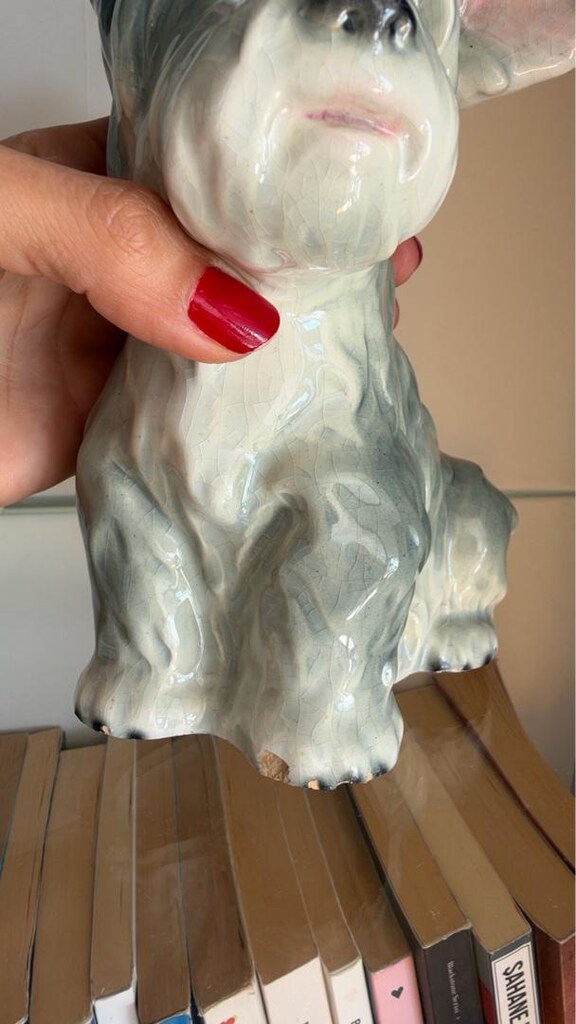 goebel damgalı köpek - 6