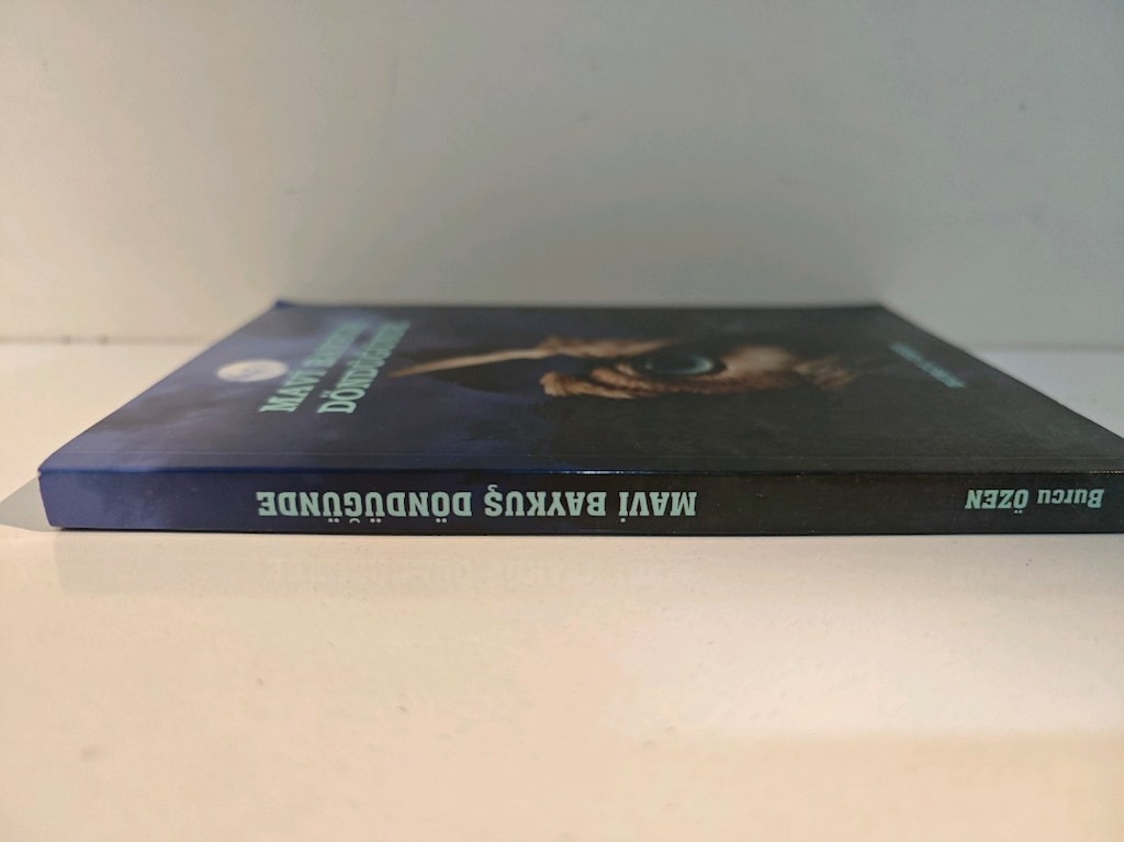 mavi baykuş döndüğünde... Burcu Özen - 2