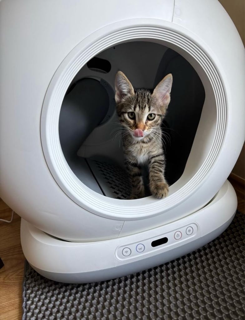 Haustier Otomatik Kedi Tuvaleti Beyaz