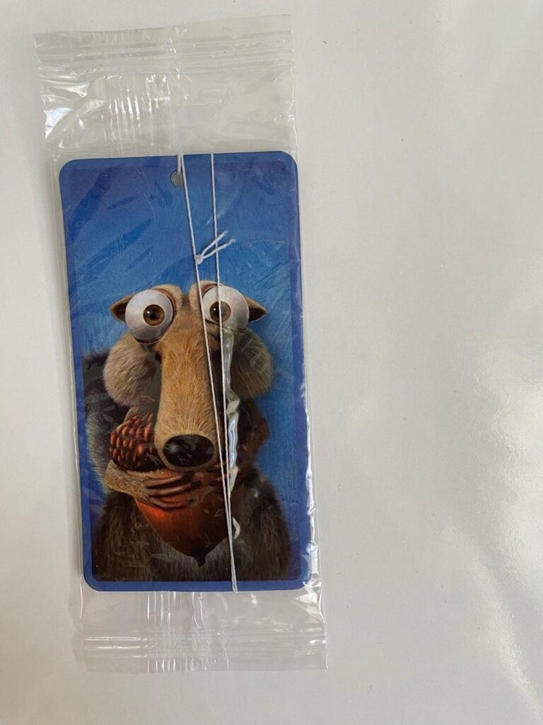 25 adet oto kokusu 250₺ - 8