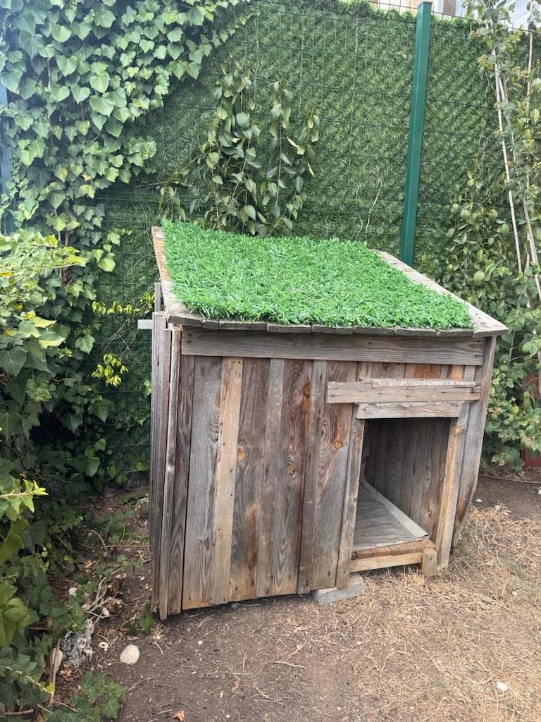 büyük köpek kulübesi