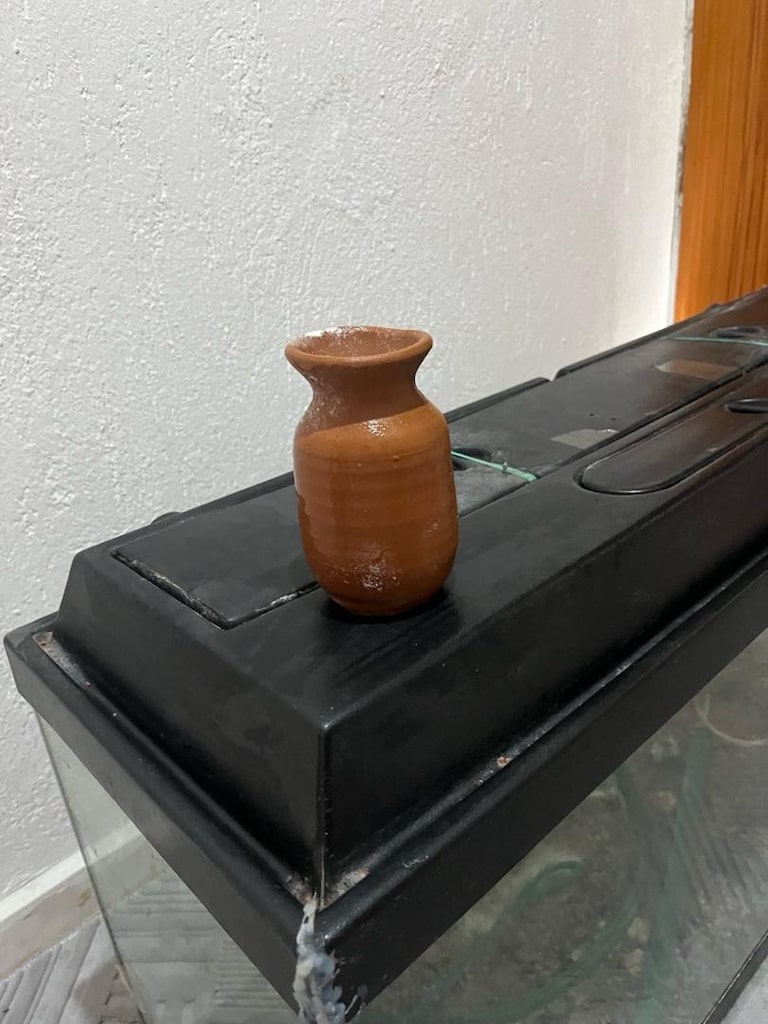 temiz akvaryum - 3