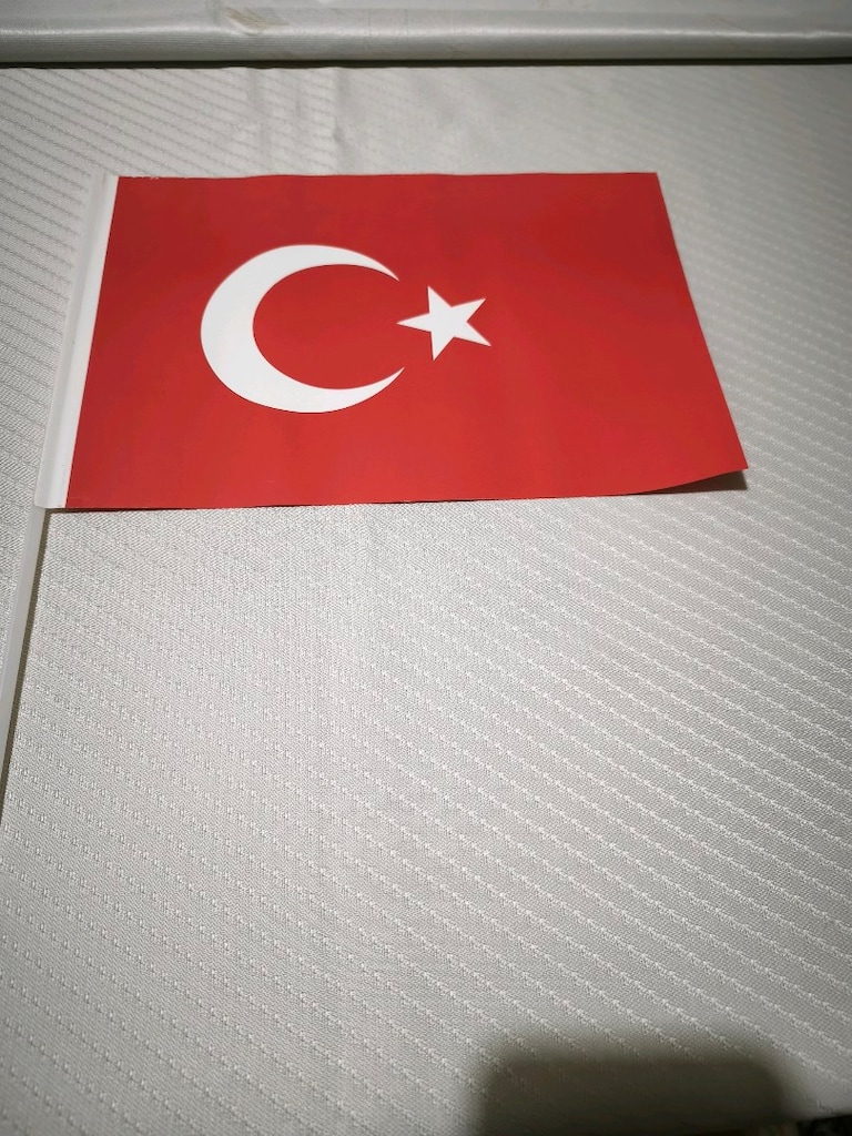 Kağıt Türk Bayrağı saplı 30,5*20,5 cm. - 3