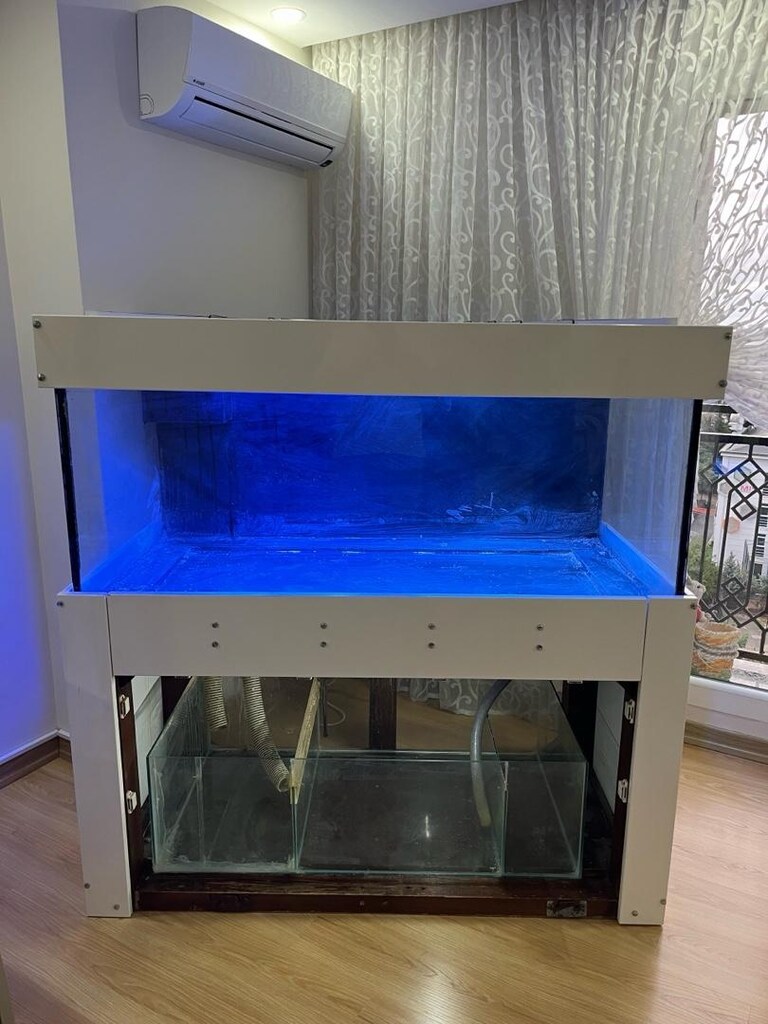 Deniz Akvaryumu Sumplu 800 Litre Ve Ekipmanları - 3
